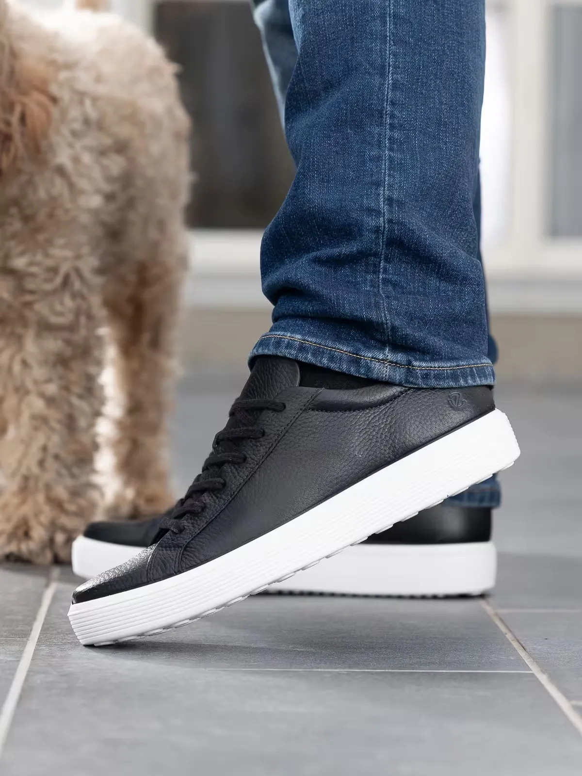 Men's Soft 60 Lace up Sneaker in Black